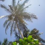 Trattoria ai Perseghi