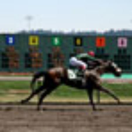 Trattoria al Mercato