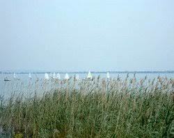 Spiaggia Dei Canneti