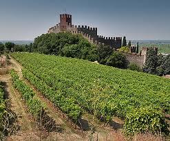 Guerrieri Rizzardi Azienda Agricola