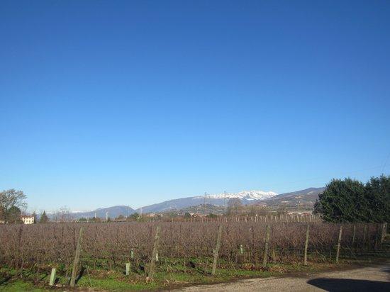 Agriturismo Ca' Mattei