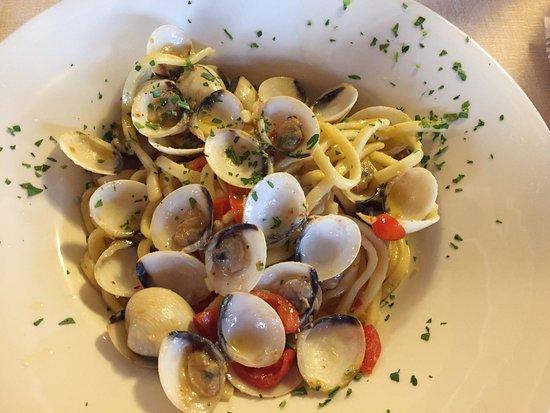 Ristorante Pizzeria Fior di Roccia