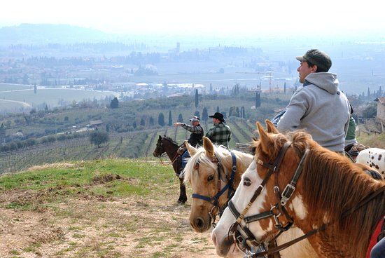 Escursioni al Parco Natura Viva